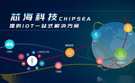 芯海科技CHIPSEA