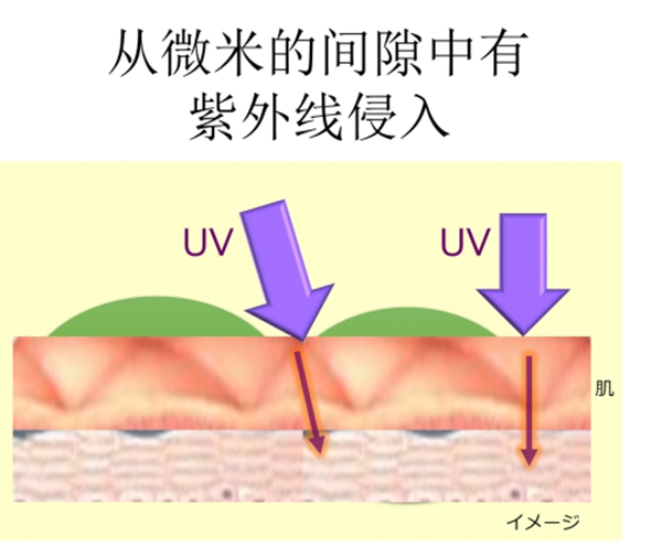 全新碧柔6.jpg