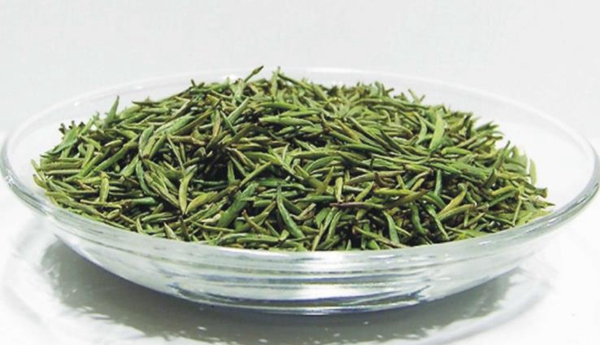 蜀竹茶业