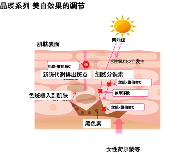 comoace科美爱丝