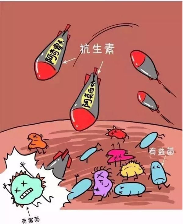 life space益生菌