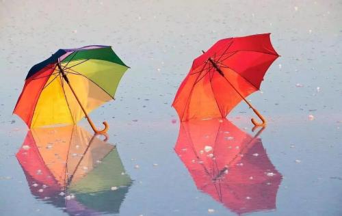 十大著名雨伞品牌排行