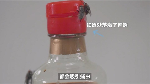 酱油生虫三问，探究其中的根本原因