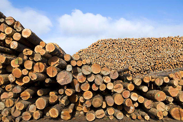 木材市场前景如何？
