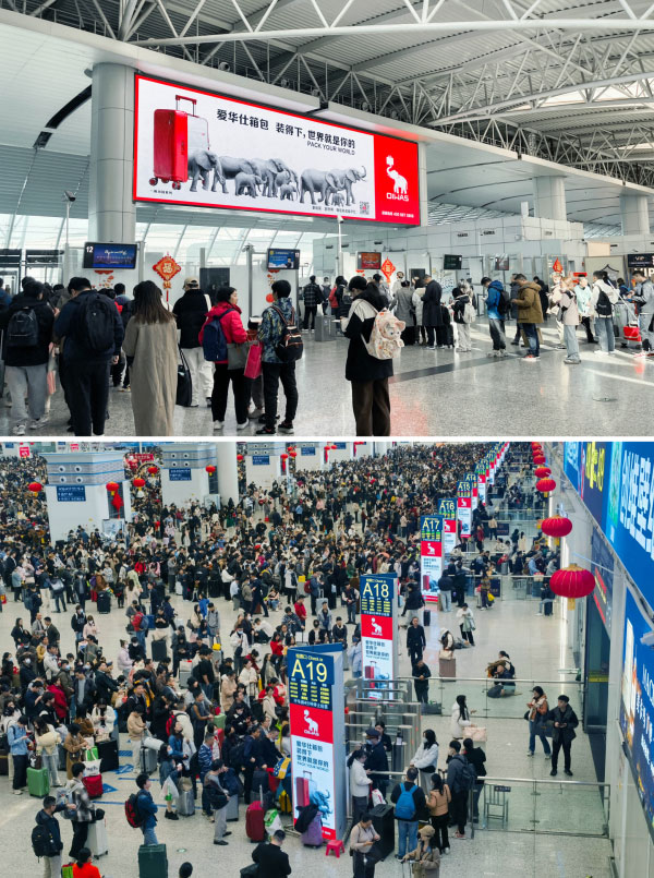 17413397466330527686100.jpg 6387696259700393772352734.jpg