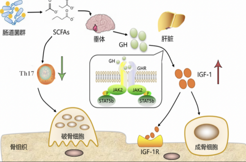 17483990745853962672660.png 3.png