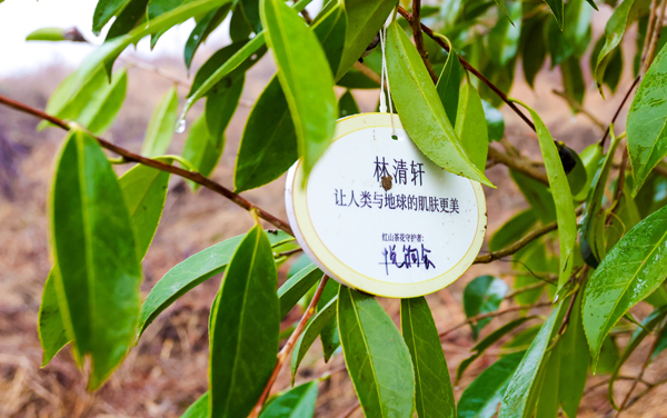 17495178827719562664796.jpg 4.jpg