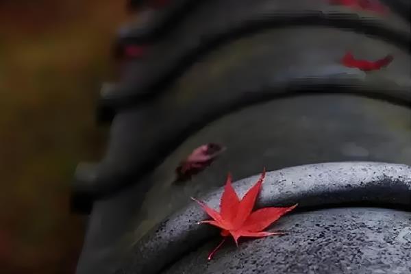 17522133028522465264672.jpg 360截圖20250711134520512.jpg