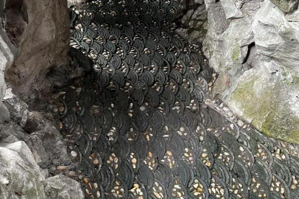 17522133097835139399326.jpg 360截圖20250711134606311.jpg