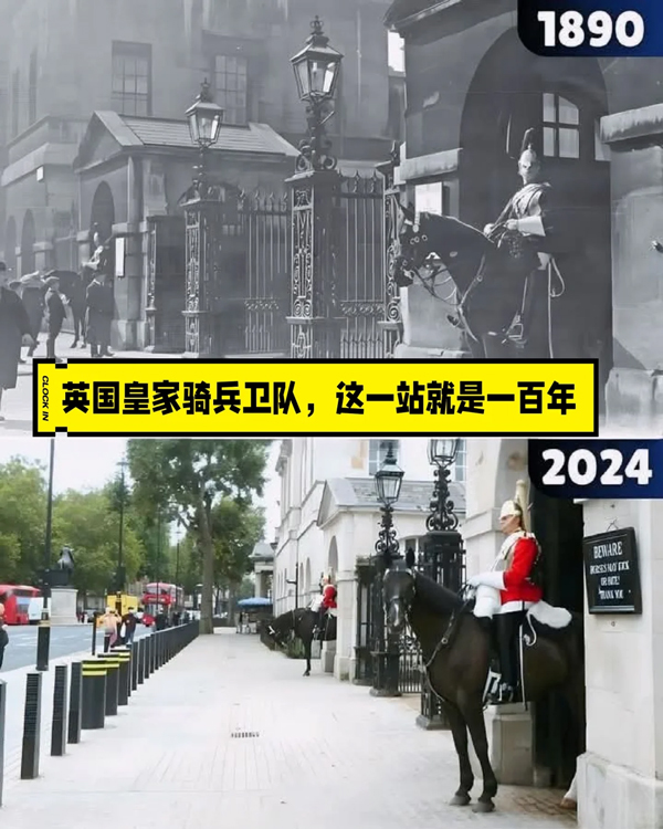 17530775214713352358780.jpg 5.jpg