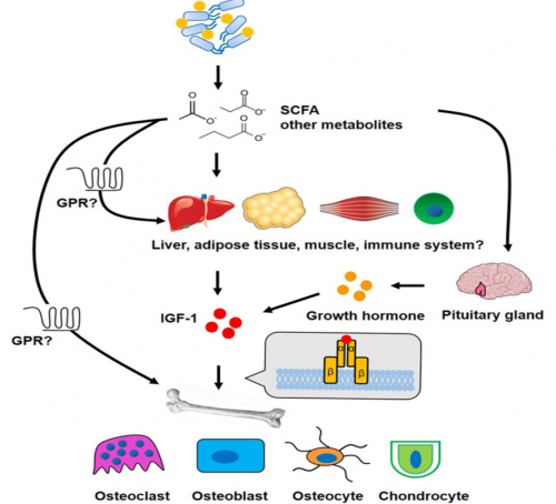 17550669091923999356647.png 2.png