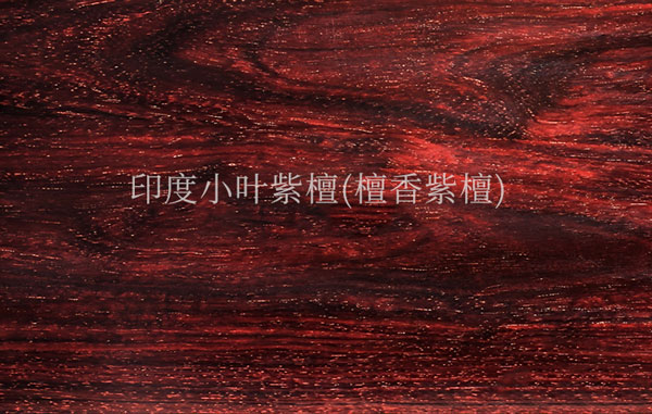 微信截圖_20250903110226.jpg