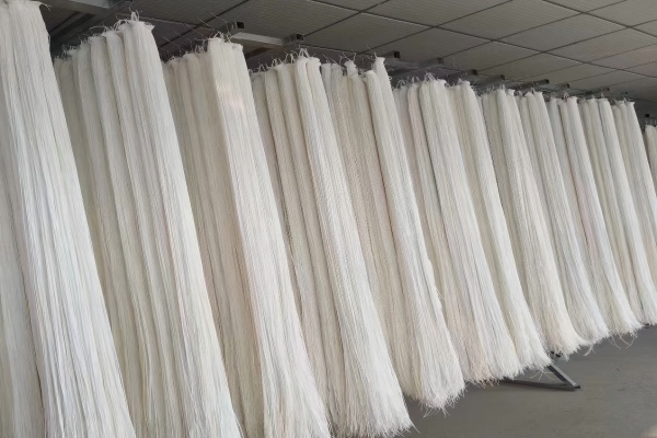 17569674442915935011156.jpg 微信图片_202409261653421(1).jpg