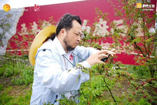 17572945974264902531009.jpg 2.jpg