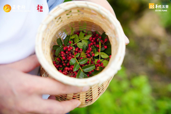 17572946001905881618329.jpg 3.jpg