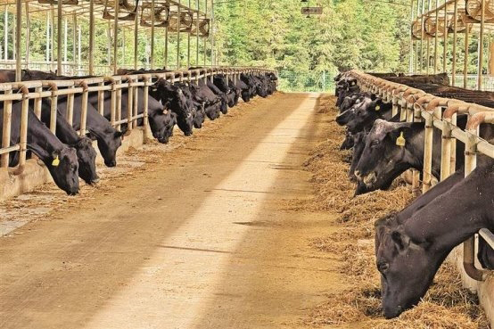 17575750056051428962262.jpg 02.jpg