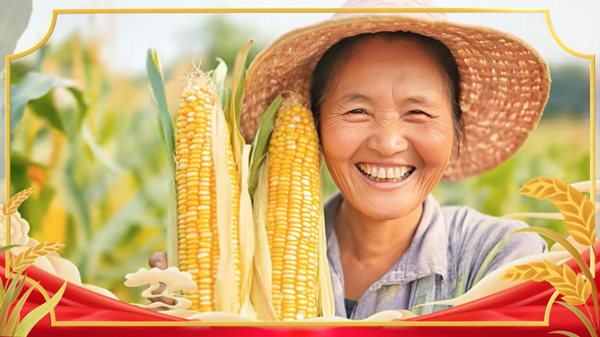 17585230865208209181661.jpg 4.jpg