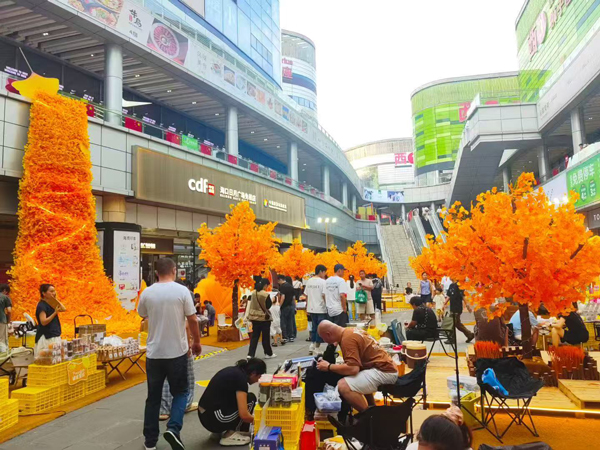 17599737429788458493623.jpg 4.jpg