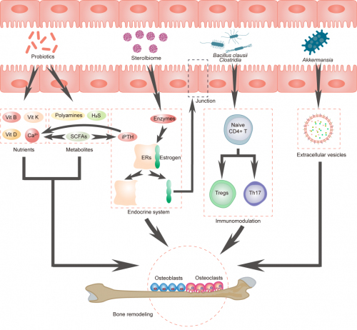 17600024261091319453122.jpg 3.jpg