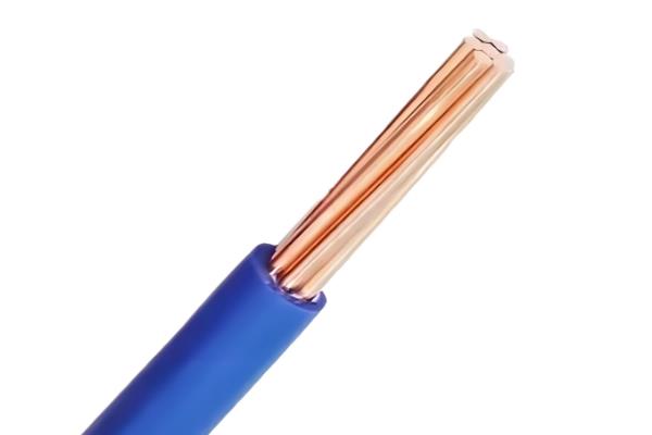 17604323491496692516404.jpg 360截圖20251014164409197.jpg