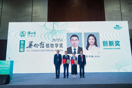 17606657589909065538427.jpeg 2.jpeg