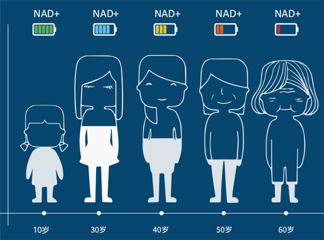 17610127011650904103023.png 2.png