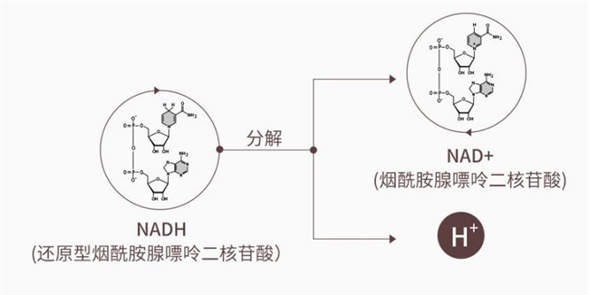 17610127101485243572808.jpeg 3.jpeg