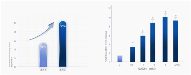 17610127317570552582359.png 4.png