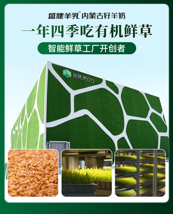 17612875357674751012628.jpg 图片2.jpg