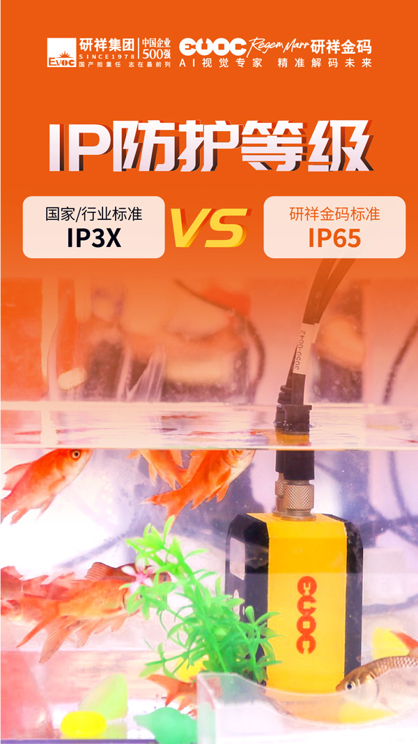 17618760227556094903339.jpg 图片2.jpg