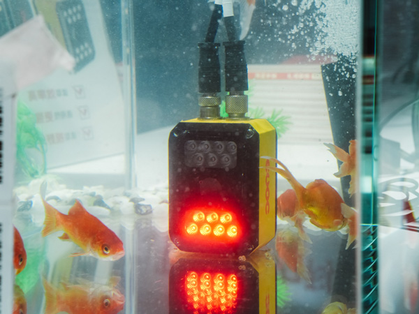 17618765769892101389129.jpg 3.jpg