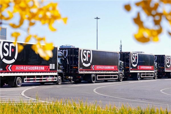 17621399984575352748320.jpg 14.jpg