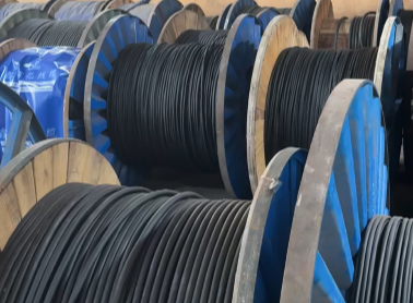 17621618665345012220352.png 11.png