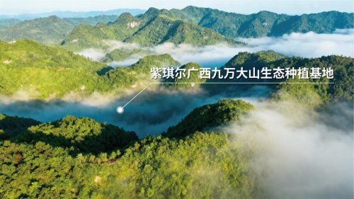 17624077517949909272779.jpeg 5.jpeg