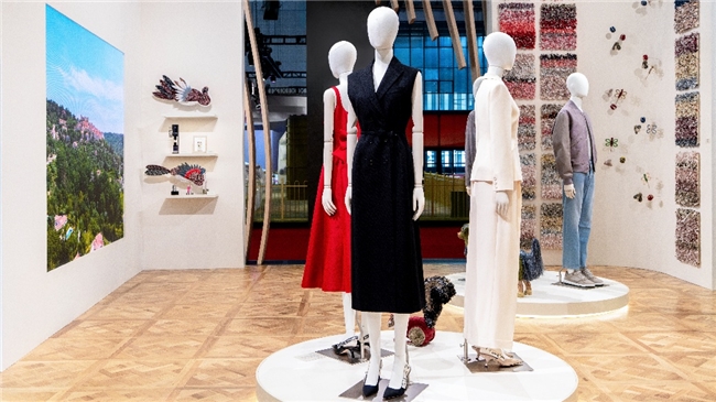 17624861766334628251196.jpeg 9.jpeg