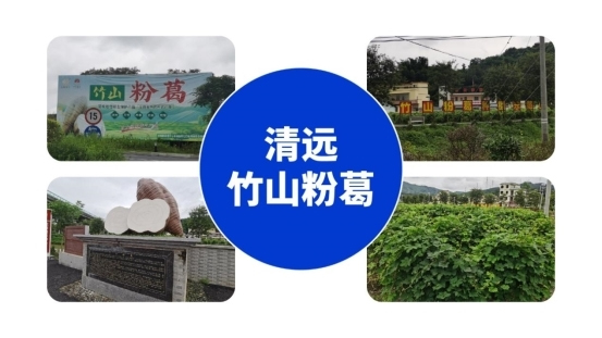 176250113039677773153.jpg 1.jpg