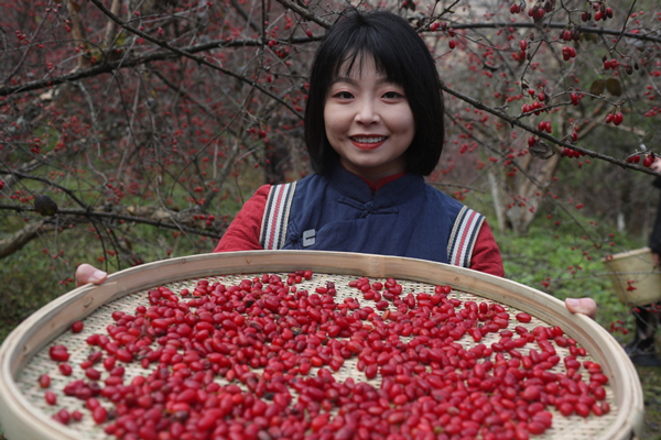 17642249423499621924966.jpg 2.JPG