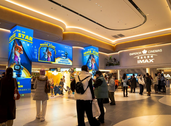 17642299853705532169940.jpg 2.jpg