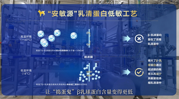 1764309497371699899511.jpg 2.jpg