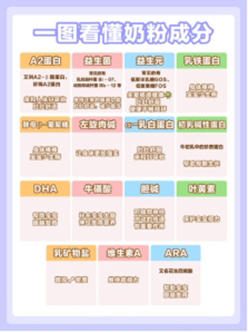 1764319059207622631113.jpg 2.jpg