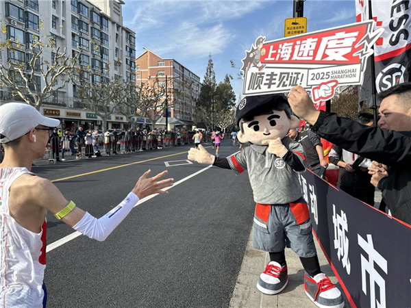 17645724562450079197483.jpg 7.jpg