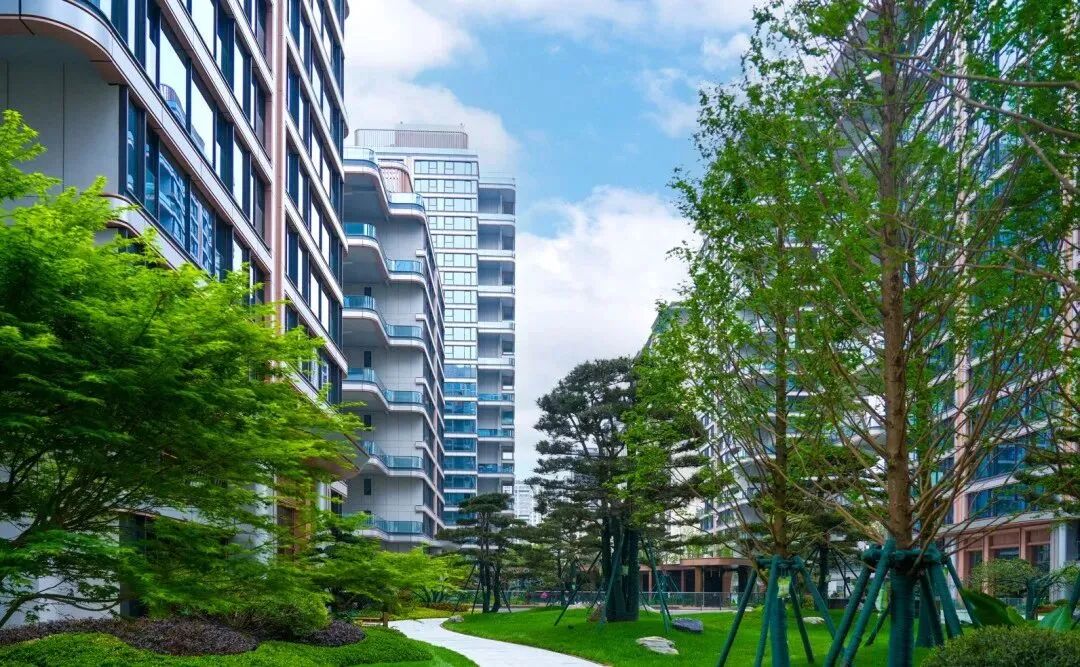 17645761418753017419833.jpg 17645761418753017419833.jpg