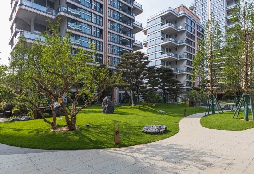 17645761917753886743741.jpg 17645761917753886743741.jpg