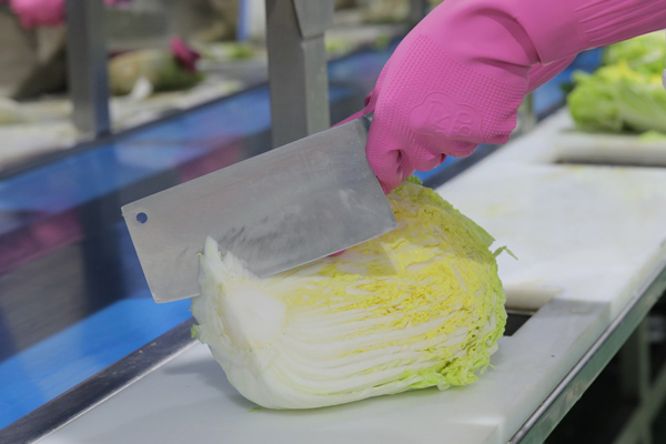 17649212588798054668068.jpg 2.jpg