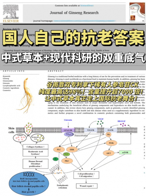 17651721176261447324325.jpg 1.jpg