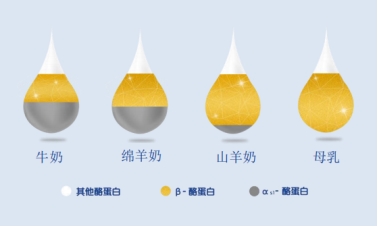 17661075588700857905272.png 2.png