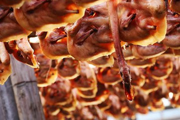 金元源酱板鸭加盟