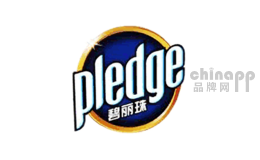 地板蜡十大品牌排名第9名-Pledge碧丽珠