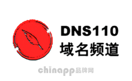 域名频道DNS110