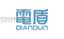 OA网络地板十大品牌排名第9名-电盾DIANDUN